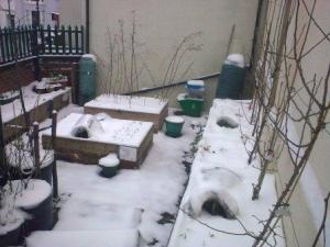 Gated plot 1.13 snow c