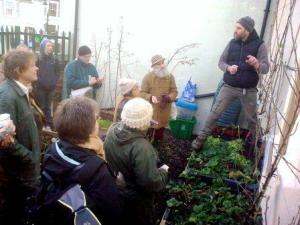 Bryn pruning day 1 c