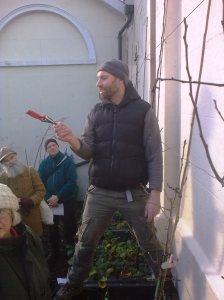 Bryn pruning day offering secateurs