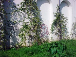 Greenway vines graffiti