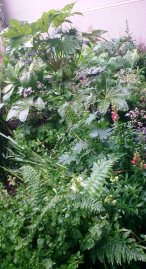 shady triangle 11.6.13