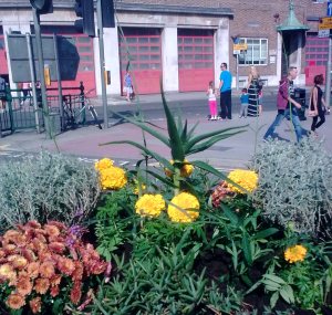 Seaside planter 9.13