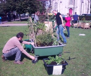 Setting up the Borrowed Garden