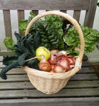 LRSP Harvest basket 2013