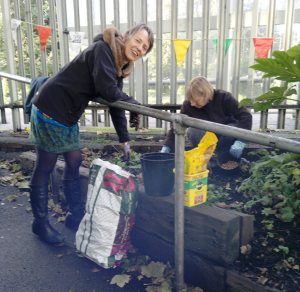 Bulb planting eb di 10.13