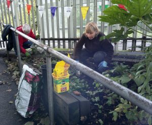 Bulb planting p di 10.13