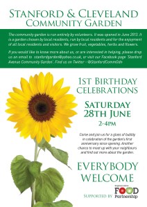 First Brithday flyer