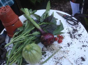 2014 Harvest 1.7 (1)