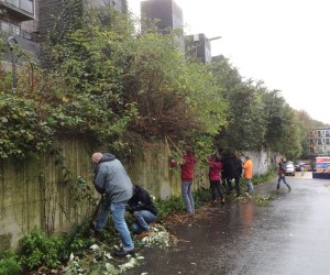 Greenway line chopping