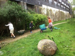 Clearing Greenway 10.5.15