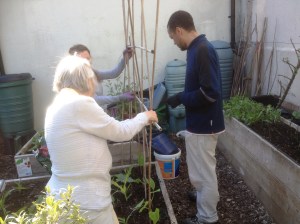 Making the bean structure 2015
