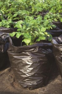 250x375_fit_black-potato-bags