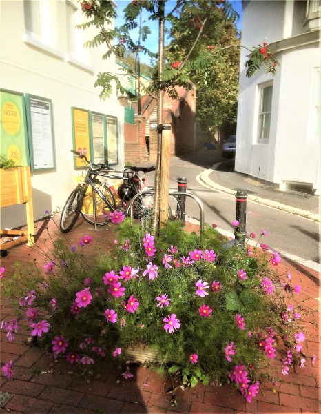 LRSP 2018 crazy cosmos